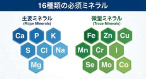 16-essential-minerals-infographic.jpg