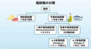 fatty-acid-classification-diagram.jpg
