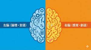 left-brain-right-brain-functions-japanese.jpg