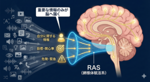ras-brain-filter-system-diagram.jpg