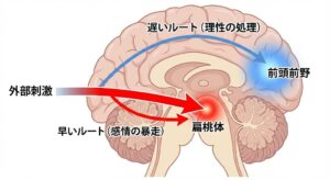 amygdala-hijack-mechanism-diagram-japanese.jpg