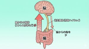 gut-brain-axis-vagus-nerve-diagram-japanese.jpg