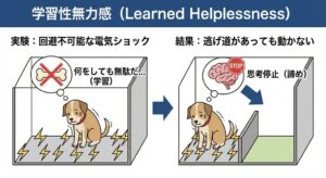 learned-helplessness-experiment-diagram-japanese.jpg