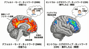 meditation-brain-network-dmn-vs-cen.jpg