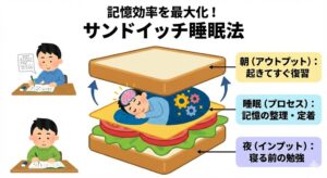sandwich-sleep-method-memory-boost-japanese.jpg