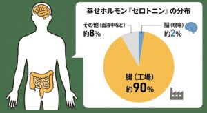serotonin-distribution-gut-brain-chart-japanese.jpg