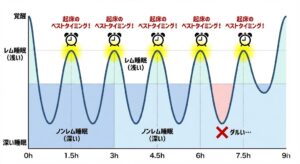 sleep-cycle-90-minutes-graph-japanese.jpg